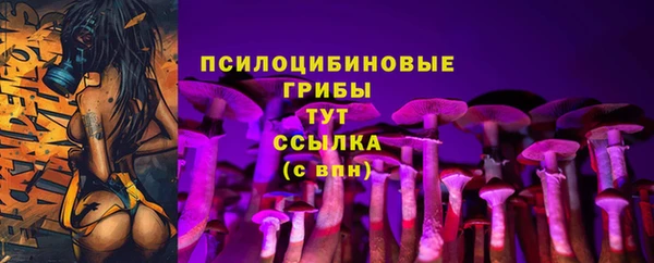 ALPHA PVP Лагань