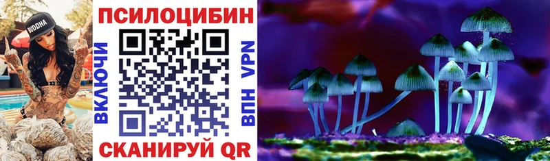 Галлюциногенные грибы Cubensis  Купить закладки  Тольятти 